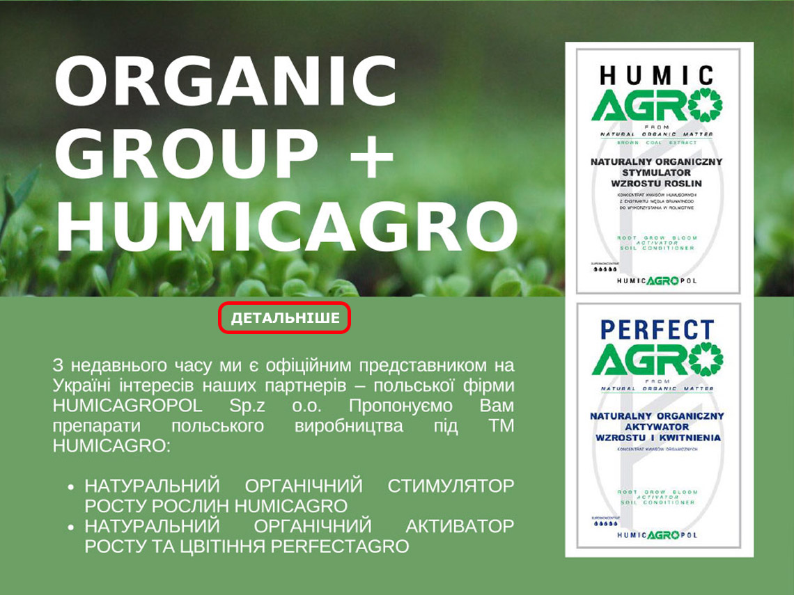 organic-13